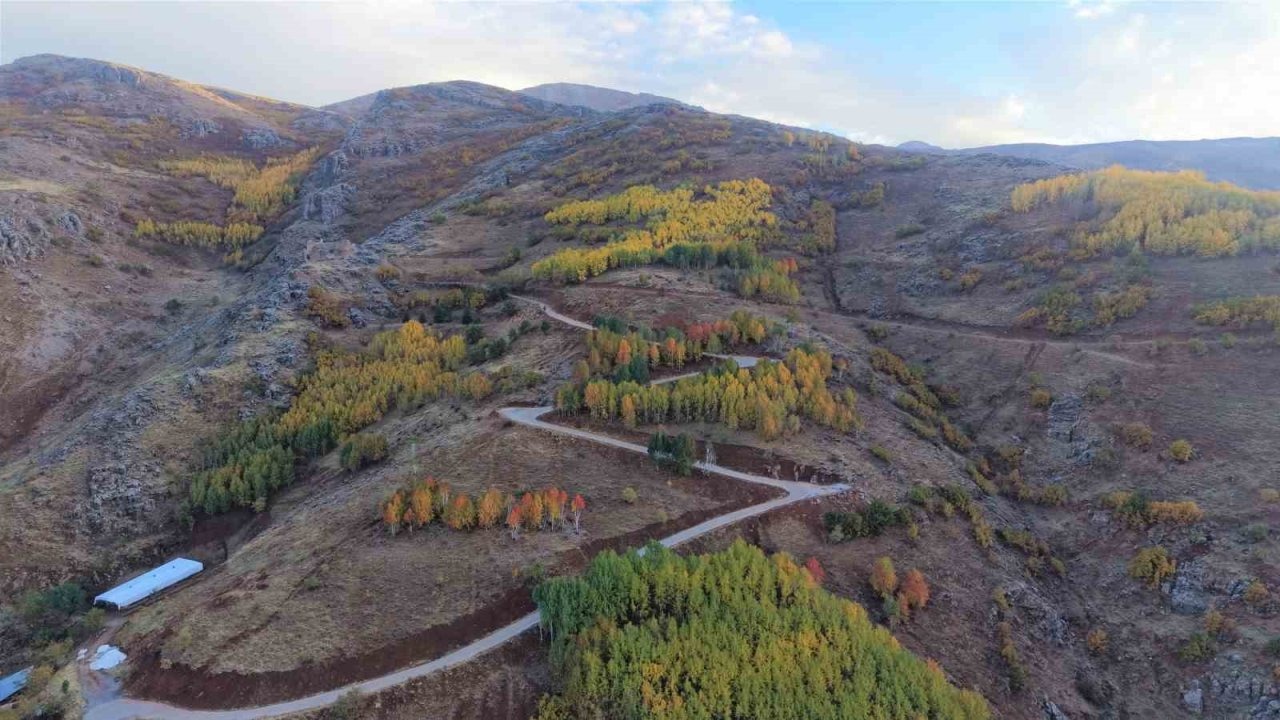 Muş&#039;ta Fotoğrafçılık Kursiyerleri Haspet Kalesi&#039;nde Sonbaharı Çekti, Çevre Temizliğiyle Örnek Oldu