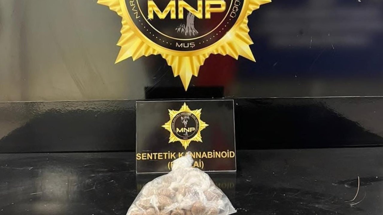 Muş'ta Otobüs Terminali Operasyonu: 204 Gram Sentetik Kannabinoid Ele Geçirildi, 1 Kişi Tutuklandı