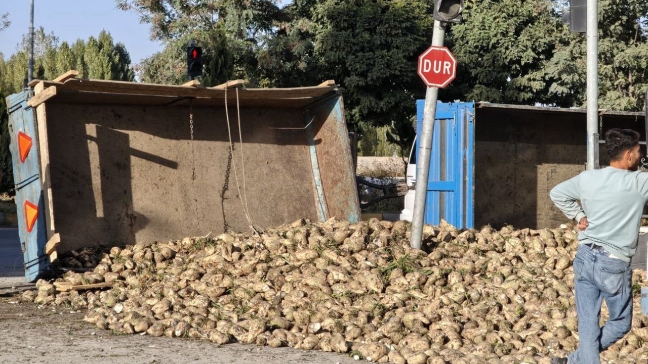 Muş&#039;ta Şeker Pancarı Yüklü Traktör Devrildi
