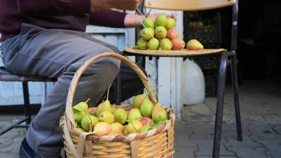 Muş&#039;un Geleneksel Lezzeti: İpe Dizilen Güz Armutları 3 Ay Taze Kalıyor, Kilosu 100 TL&#039;ye Alıcı Buluyor!