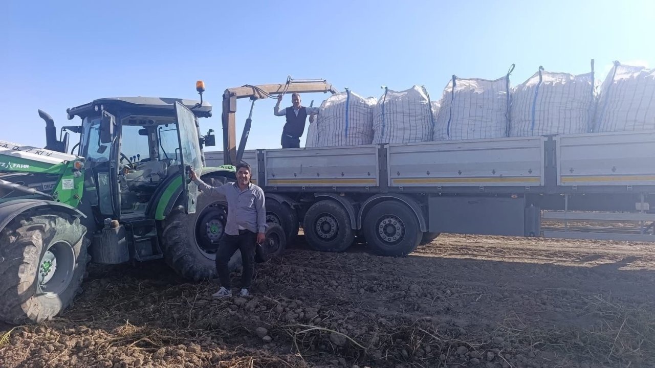 Patnos’ta Patates Hasadı Başladı: Çiftçinin Yüzü Güldü