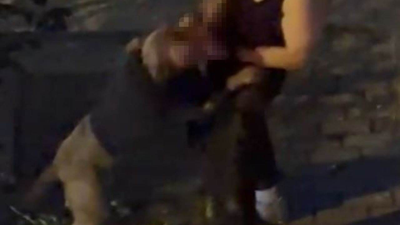 Pitbull Cinsi Köpek Sahibine Saldırdı, Bir Vatandaş Suyla Müdahale Etti