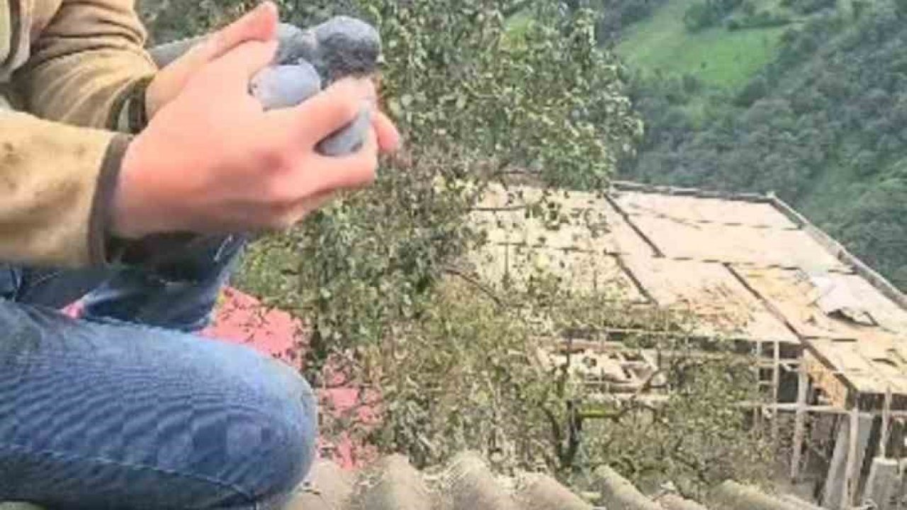 Rize&#039;de Örnek Davranış: Çatıda İpe Dolanan Güvercini Köy Sakini Kurtardı