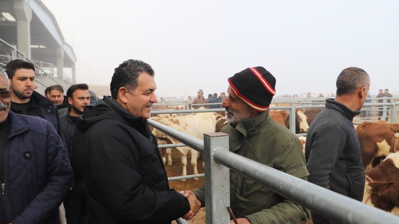 ŞAP Hastalığı Sonrası Yeniden Açılan Ardahan Hayvan Pazarı&#039;nda Canlılık Aranıyor