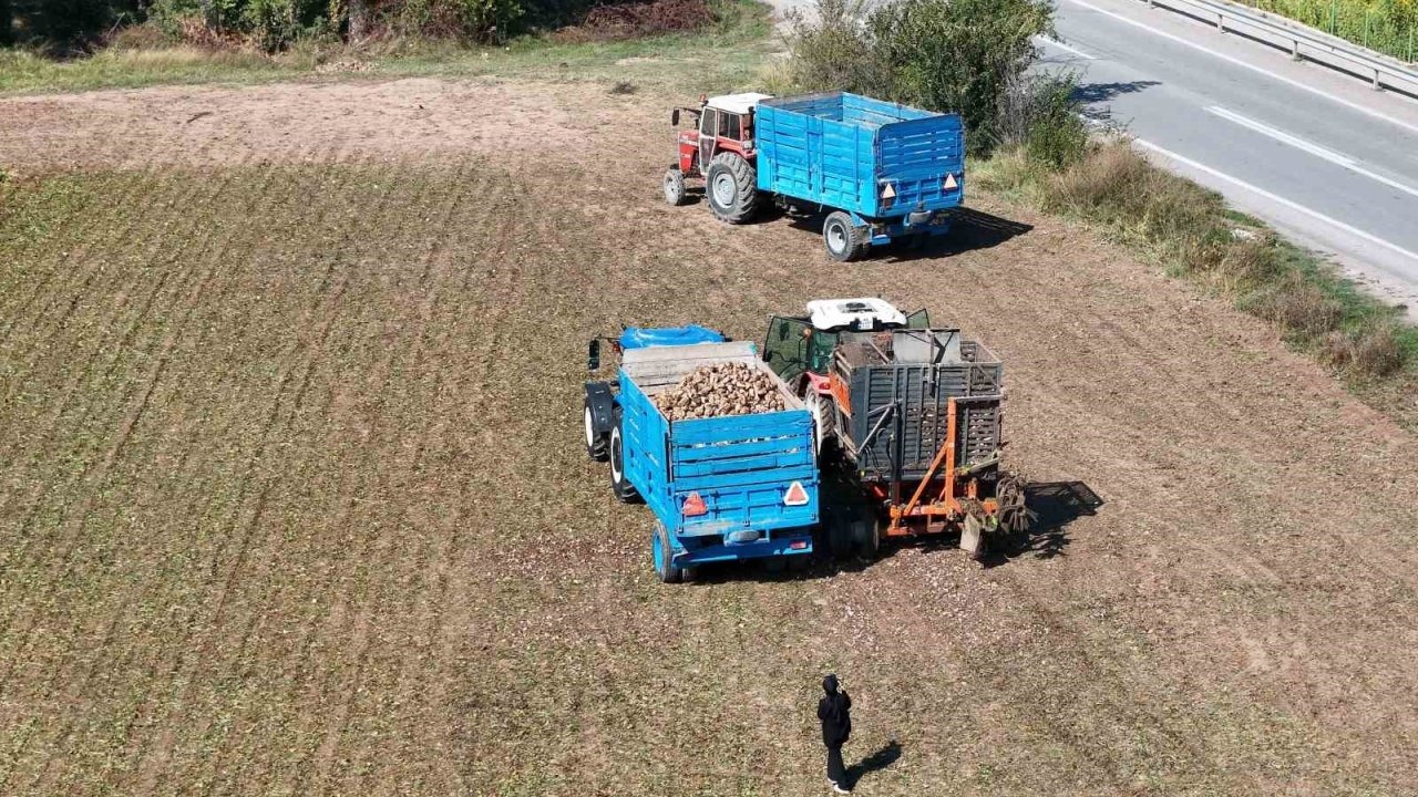 Şeker Pancarı Hasadı Başladı: Çiftçiden Alım Fiyatına Tepki