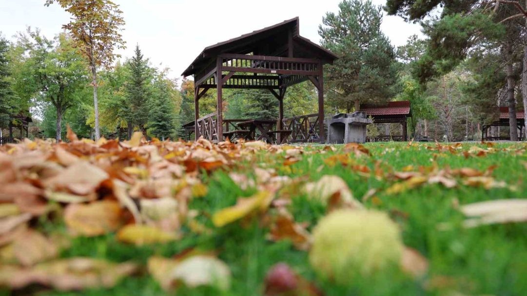 Sivas&#039;ın Cenneti Paşabahçe Mesire Alanı, Sonbaharın Renkleriyle Sessizliğe Büründü