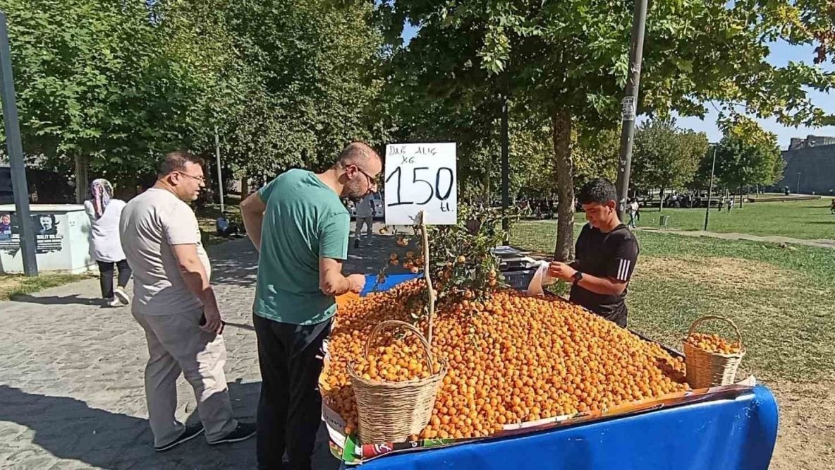 Sonbaharın Şifası: Doğal Alıç Meyvesi Diyarbakır Tezgahlarında
