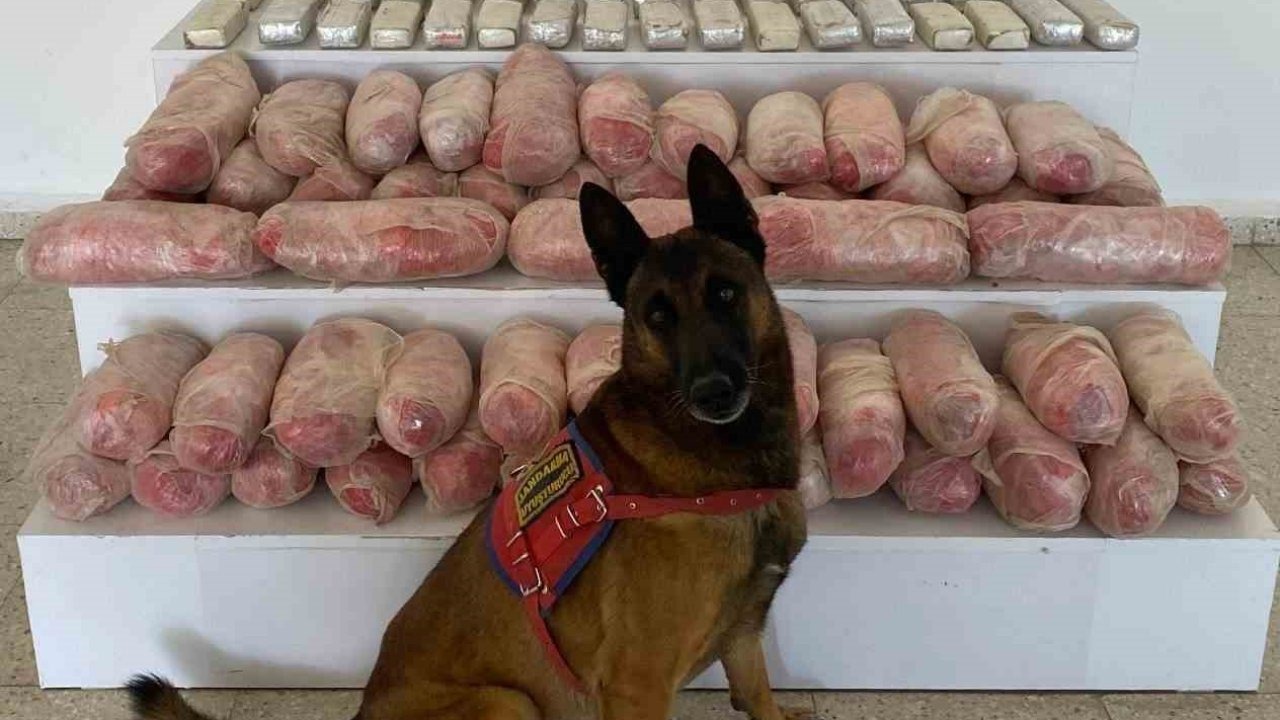 Van Başkale’de Jandarmadan Uyuşturucu Operasyonu: 67 Kilogram Madde Ele Geçirildi