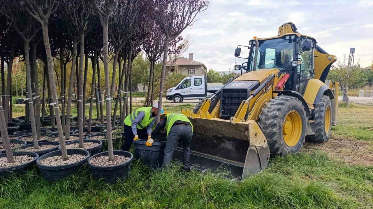 Van Büyükşehir Belediyesi&#039;nden Yeşil Şehir Hamlesi: Yeni Peyzaj Çalışmaları