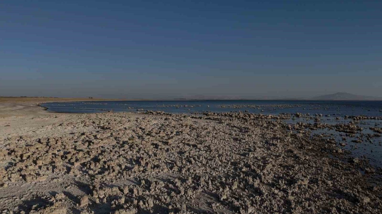 Van Gölü’nde Alarm Zilleri Çalıyor: Su Seviyesindeki Düşüş Ekosistemi Tehdit Ediyor