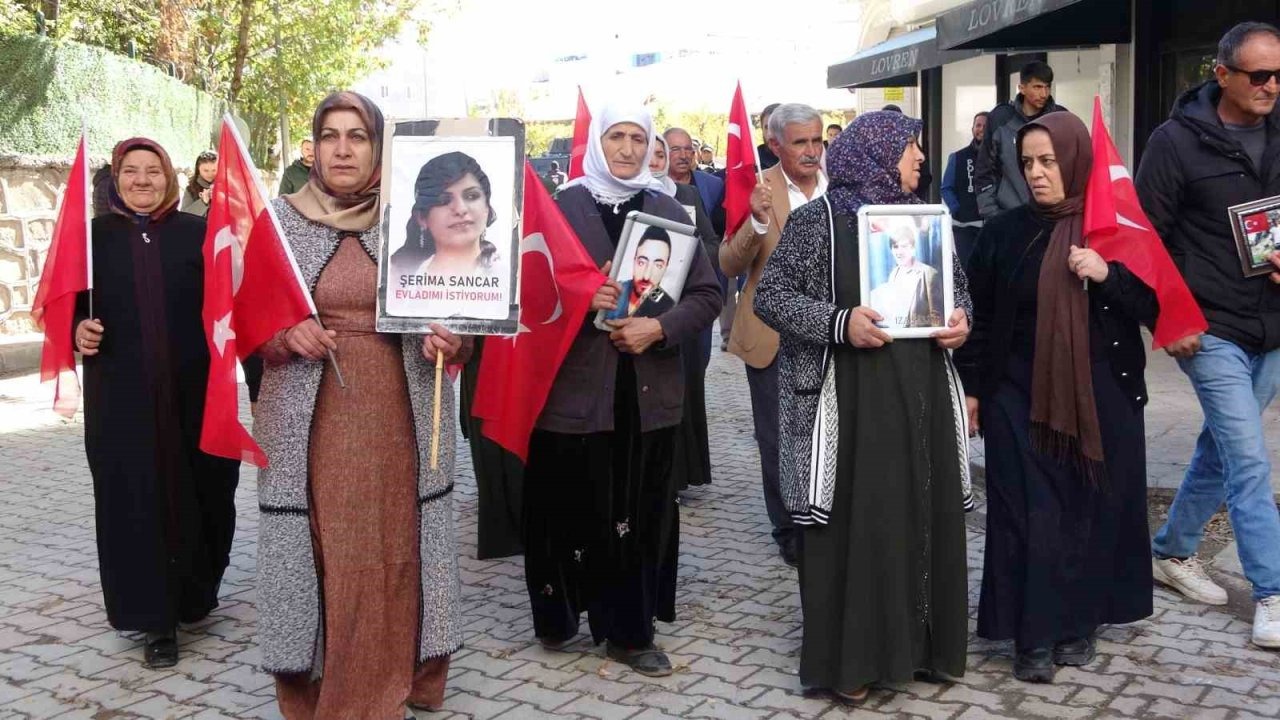 Van’daki Evlat Nöbeti’nde 111. Hafta: &quot;Terörsüz Türkiye&quot; Umuduyla Slogansız Yürüyüş