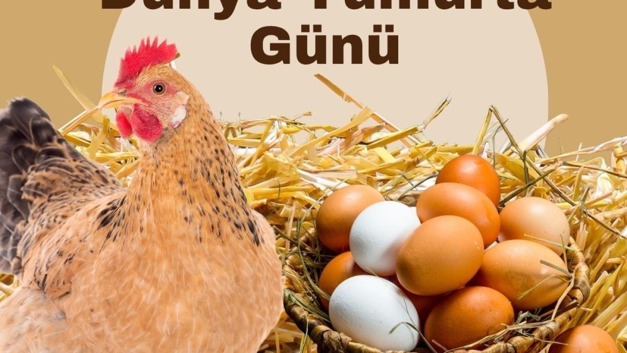 Yumurtanın Önemi Vurgulandı: "Doğanın En Eşsiz Gıda Kaynaklarından Biri"
