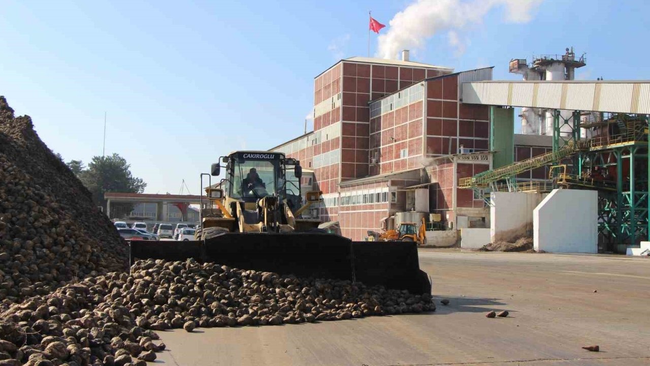 Zirai don ve kuraklık şeker pancarını vurdu