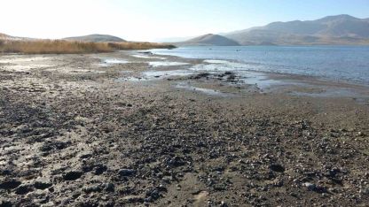 Erçek Gölü Kuraklığın Sırrını Açığa Çıkardı: Göl Tabanındaki Mikrobiyalitler Gün Yüzüne Çıktı