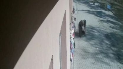 Ağrılı Öğretmenlerden Hayat Kurtaran Müdahale: Boğazına Şeker Kaçan 3 Yaşındaki Çocuğu Heimlich Manevrasıyla Kurtardılar