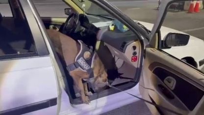 Erzurum'da Narkotik Operasyonu: Narkotik Köpeği 'Magnum' Görevde!