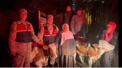 Ardahan'da Çalınan İki Büyükbaş Hayvan JASAT Operasyonuyla Bulundu