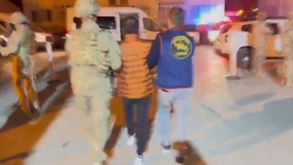 Van Başkale'de Çobanlık Yaparken Yakalandı: 20 Yıl Hapis Cezalı Firari Tutuklandı