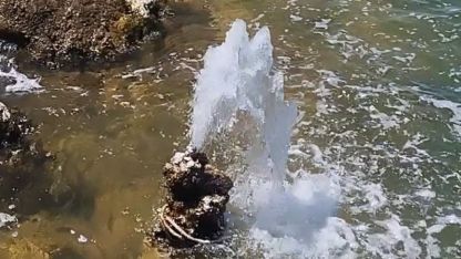 Van Gölü'nde Hayrete Düşüren Görüntü: Çekilen Suda Gün Yüzüne Çıkan Mikrobiyalitten Tatlı Su Fışkırıyor