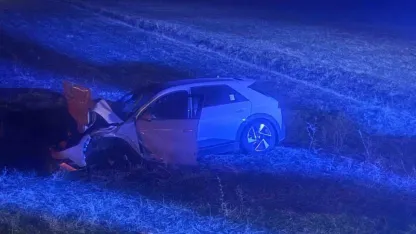 Muş’ta Yola Çıkan İneğe Otomobil Çarptı: İnek Telef Oldu