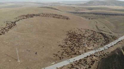 Yaylalardan Zorlu Dönüş: Göçerlerin Iğdır Yolculuğu Başladı