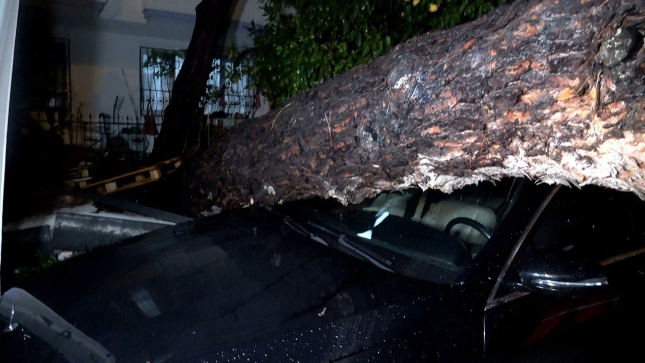 Antalya’da Şiddetli Rüzgar ve Yağış Nedeniyle Ağaç Devrildi: İki Araç ve Bina Zarar Gördü