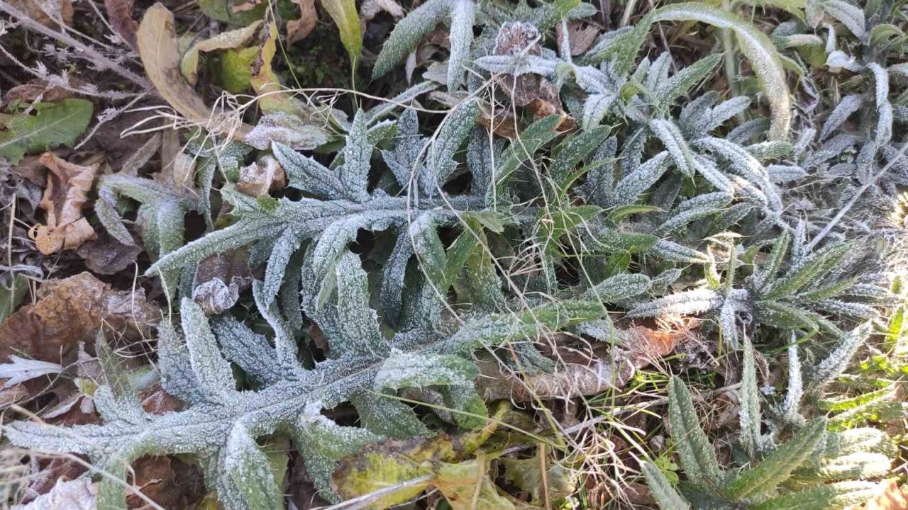 Ardahan Göle, -6,4 Dereceyle Türkiye&#039;nin En Soğuk Yeri Oldu