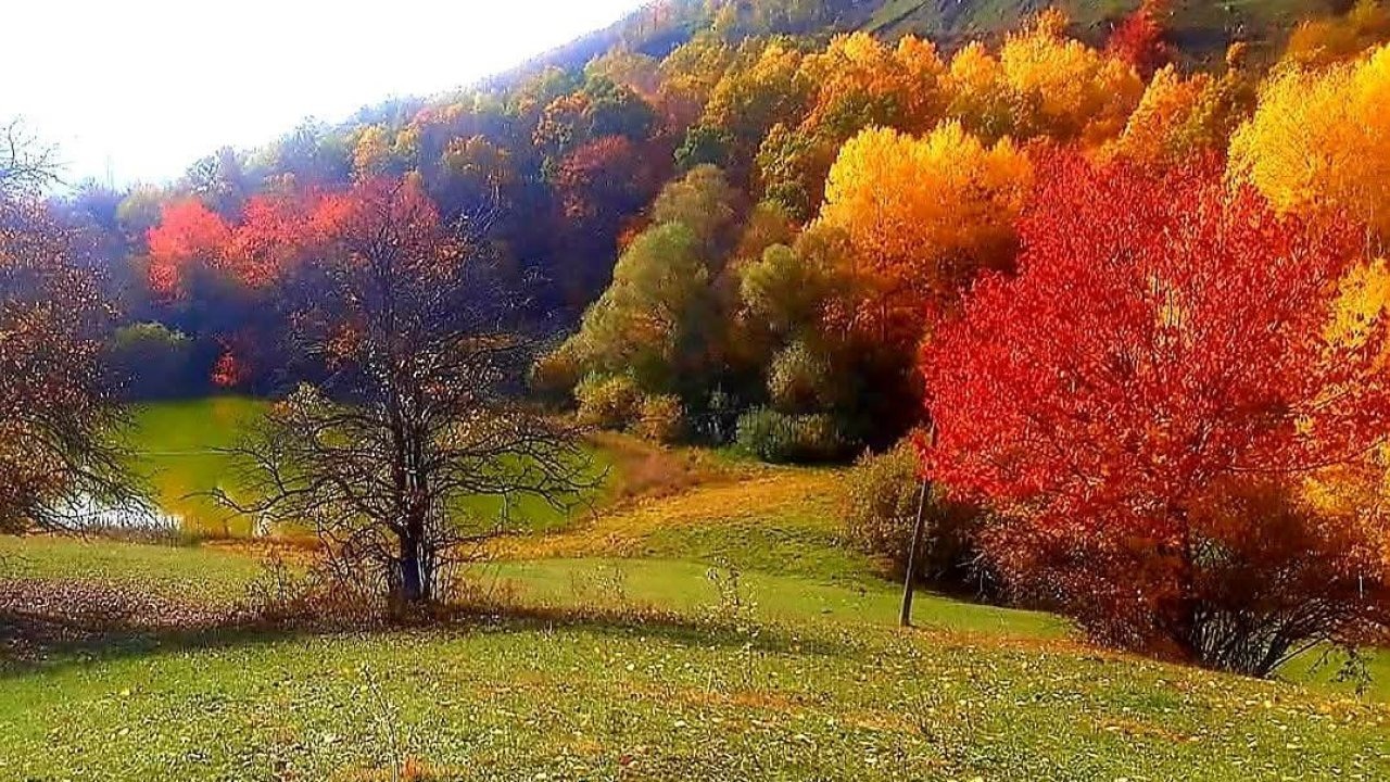 Ardahan Posof’ta Sonbahar Manzaraları: Dağlar Beyaz, Vadiler Renk Cümbüşü
