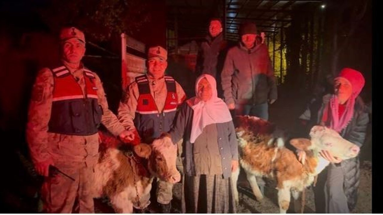 Ardahan&#039;da Çalınan İki Büyükbaş Hayvan JASAT Operasyonuyla Bulundu