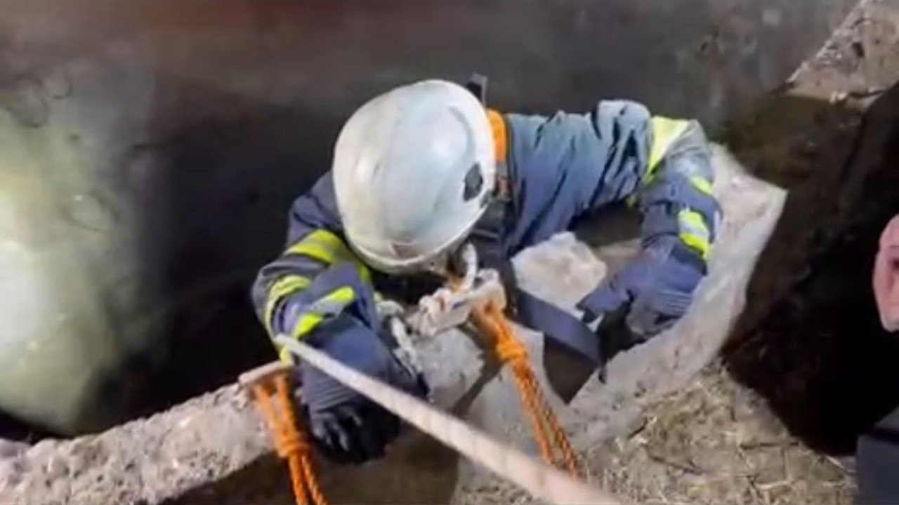 Batman’da Su Kuyusuna Düşen Çakal Kurtarıldı