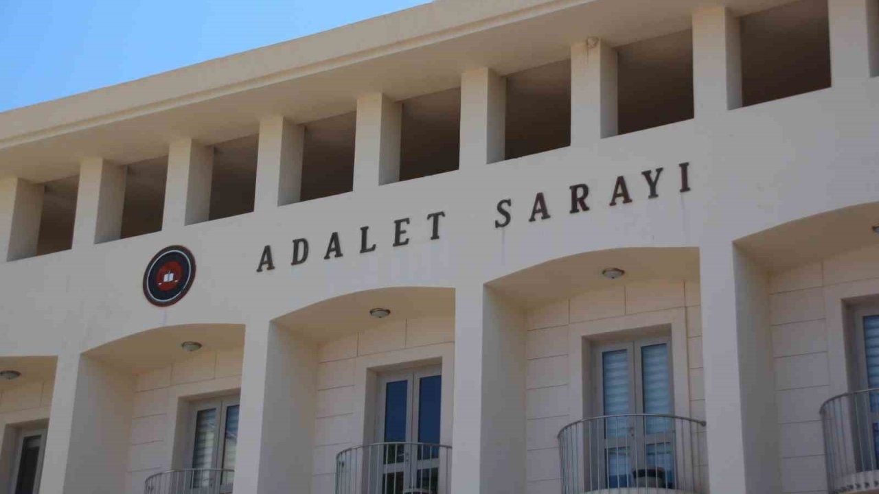 Bodrum&#039;da Yavru Köpeklere Ateş Eden Şahıs Tutuklandı