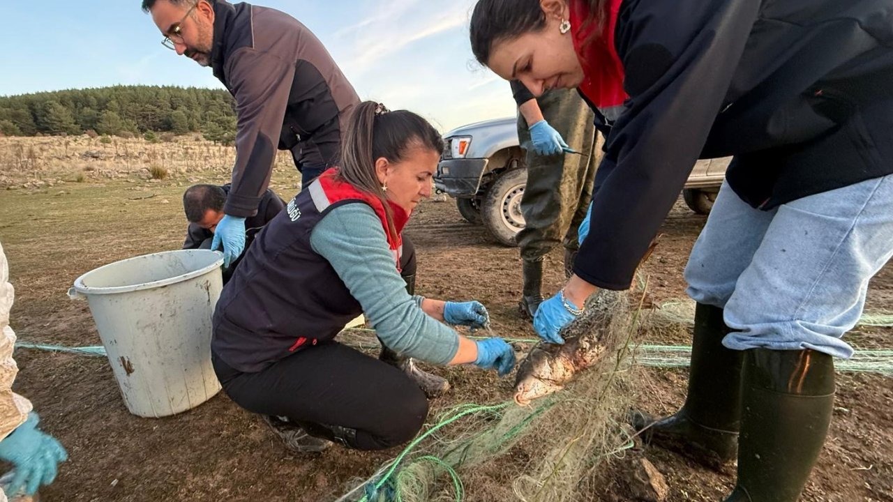 Bolu Taşlıyayla Göleti’nden 5 Kilometre Hayalet Ağ Toplandı: 500 Balık Kurtarıldı
