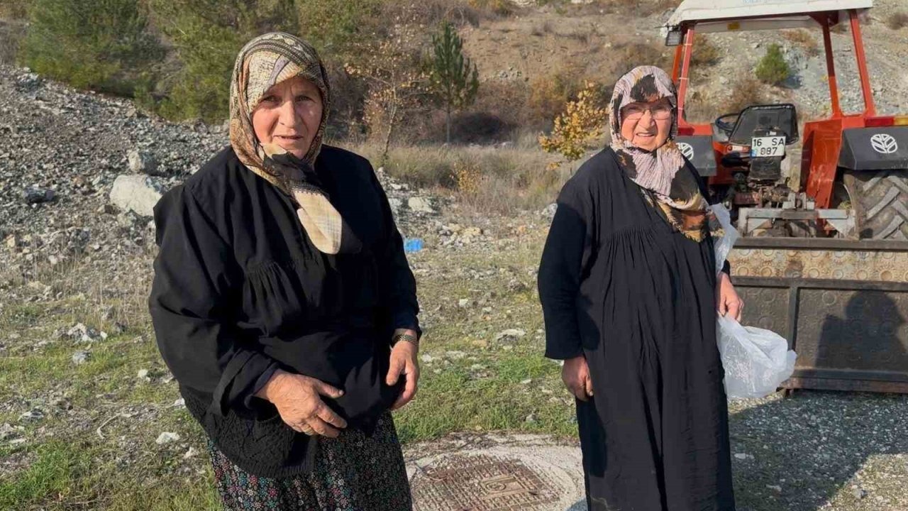 Bursa’da 70’lik Kadınların Geçim Mücadelesi: Mantar Toplayarak Aile Bütçesine Katkı Sağlıyorlar