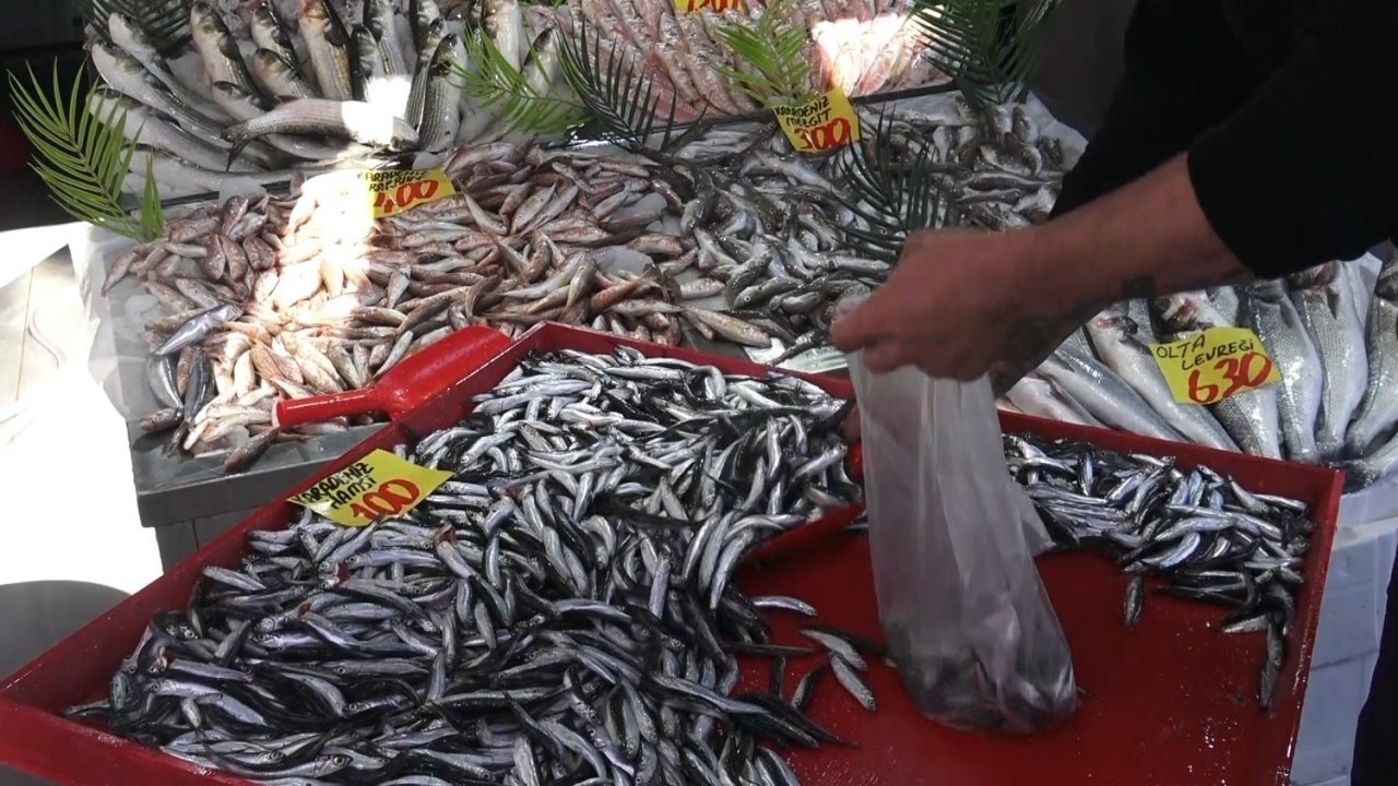Çankırı’da Hamsi Fiyatları 100 TL’ye Düştü: Balıkçılar ve Vatandaşlar Memnun
