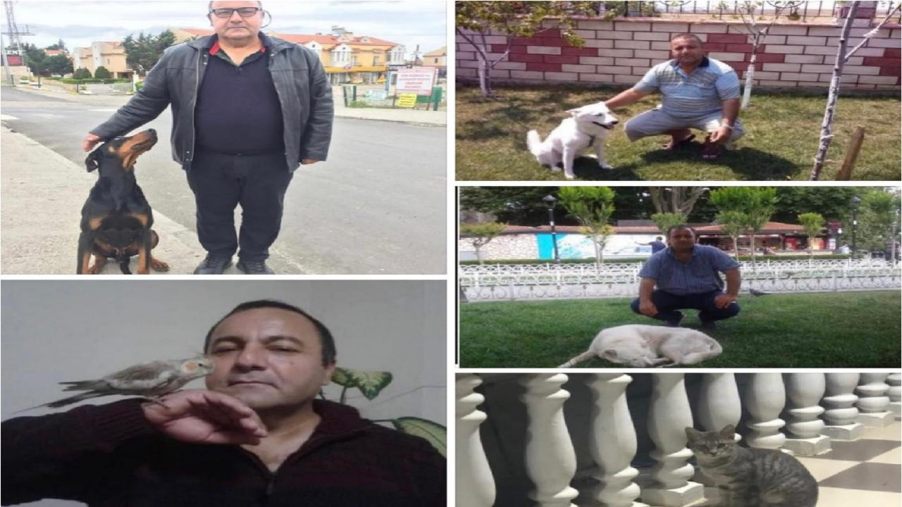 DOĞANIN DOSTU HAYVANLAR, SINAVI İNSANLAR