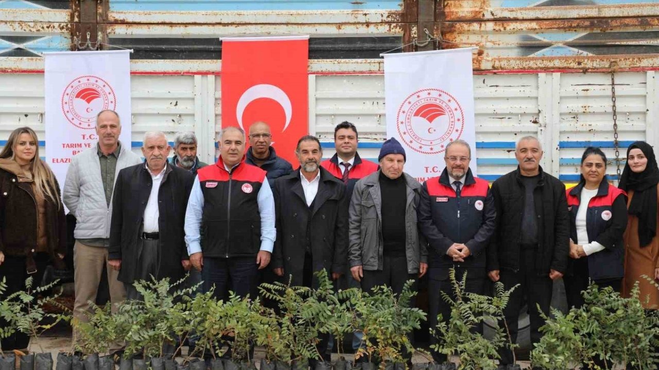Elazığ’da Sumak Üretimine Destek: 7 Binden Fazla Fide Dağıtıldı