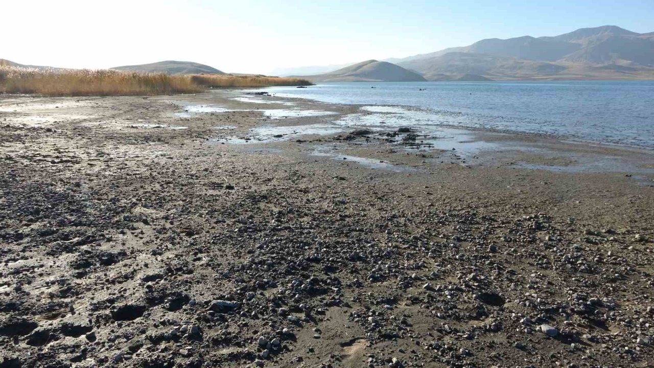 Erçek Gölü Kuraklığın Sırrını Açığa Çıkardı: Göl Tabanındaki Mikrobiyalitler Gün Yüzüne Çıktı