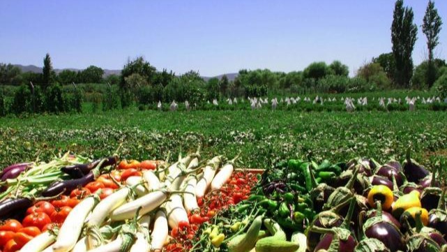 Gıda Ekosistemi &quot;Her Ürün Bir Güven Eseri&quot; Temasıyla Toplandı: Migros&#039;tan Yerel Üretime Destek Çağrısı