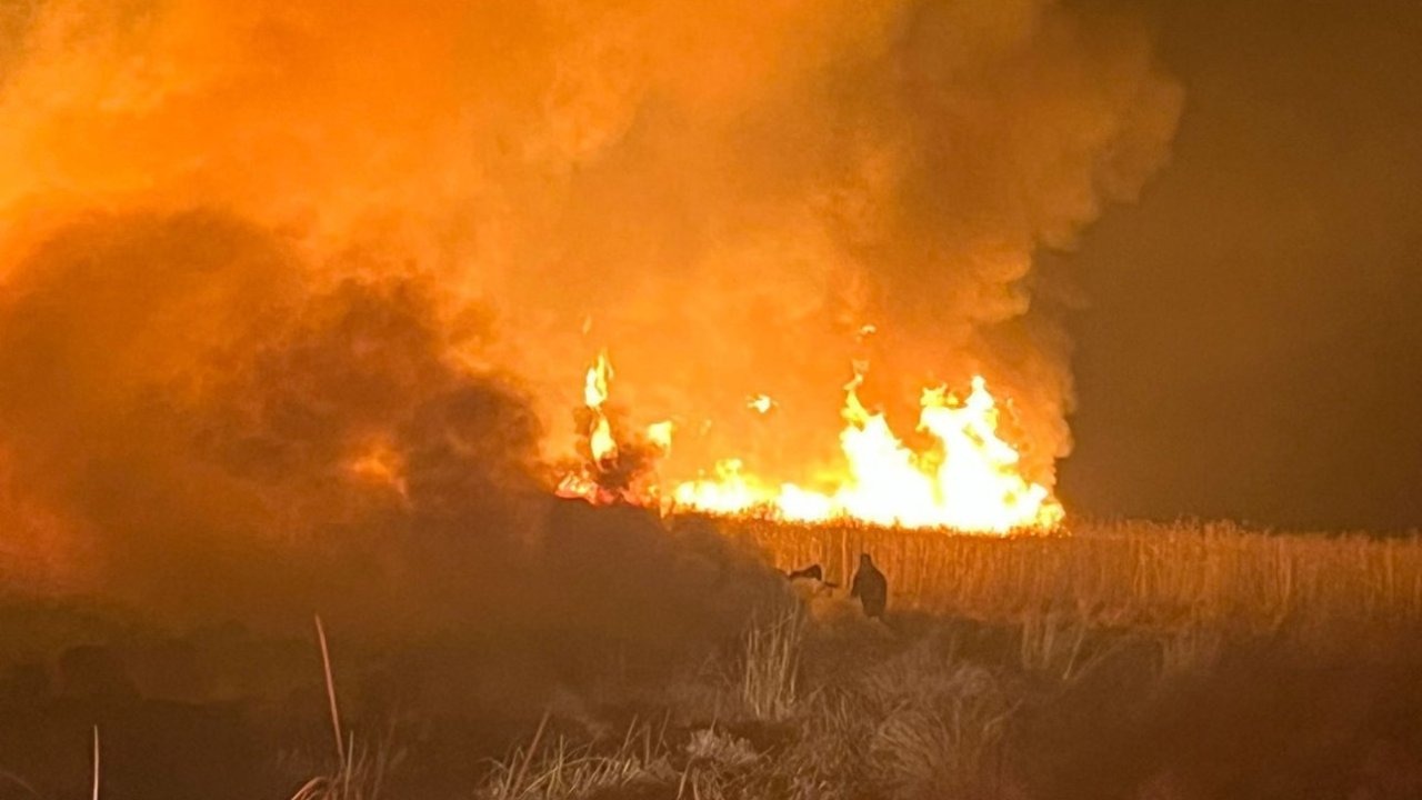 Hakkari Yüksekova&#039;da Kuş Cennetinde Yangın! Nehil Sazlığı Alevlere Teslim Oldu