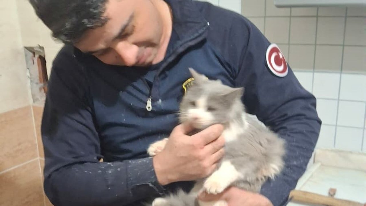 Havalandırma Boşluğuna Düşen Kedi İtfaiye Tarafından Kurtarıldı