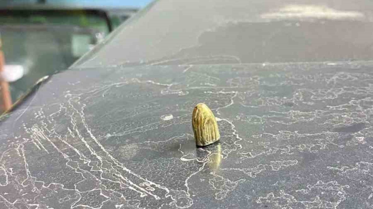 Hopa’da Maganda Kurşunu Korkuttu: Otomobil ve İş Yerine İsabet Etti