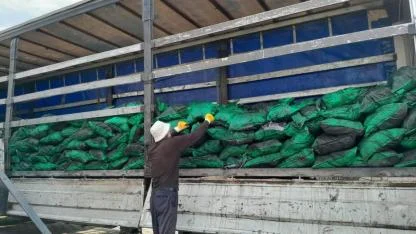 Iğdır’da Soğuklar Başladı: Köylerde Yakacak Telaşı