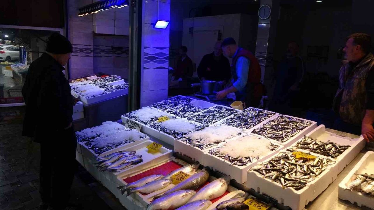 Karadeniz Hamsiye Doydu: Bolluk Fiyatları Düşürdü, Kilosu 50 TL’ye Geriledi!