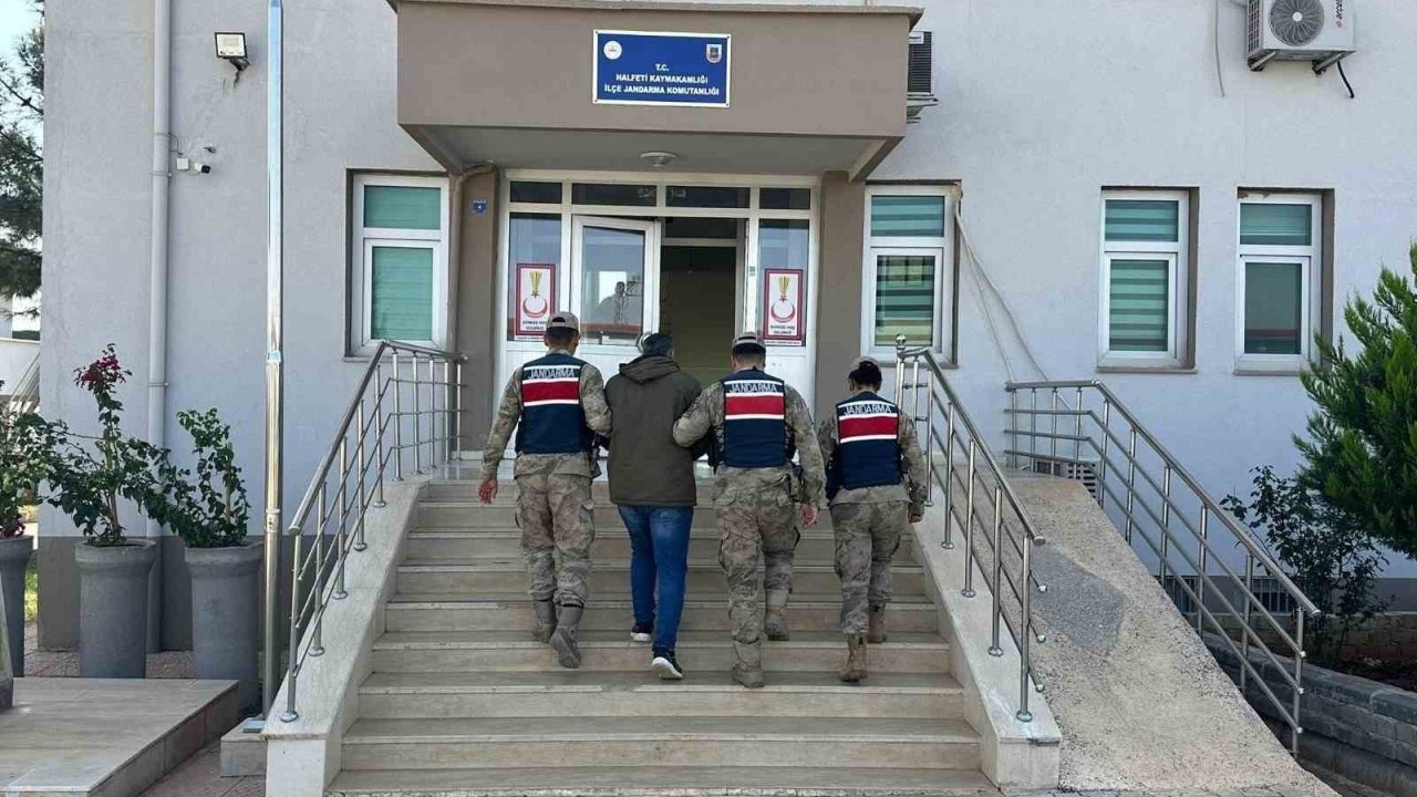 &#039;Kasten Öldürme&#039; Hükümlüsü Jandarma Operasyonuyla Yakalandı
