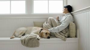 Kış Depresyonuyla Başa Çıkma Yolları: İlaçsız Çözümler ve Sabah Işığının Önemi