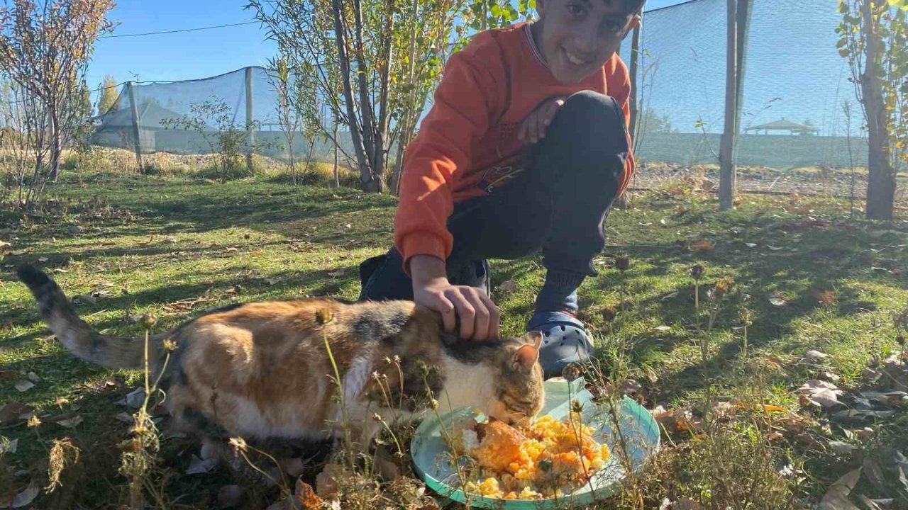 Komşu Tepkisine Rağmen Vazgeçmedi: Ağrılı Seren Albay, Evini Sokak Hayvanlarına Açtı