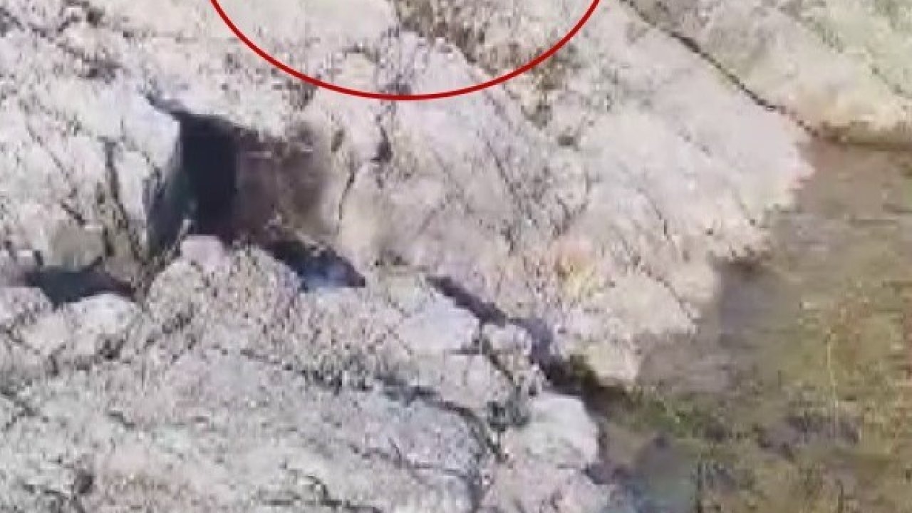 Malatyalı Balıkçının Anlamlı Davranışı: Tuttuğu Balığı Aç Kediyle Paylaştı