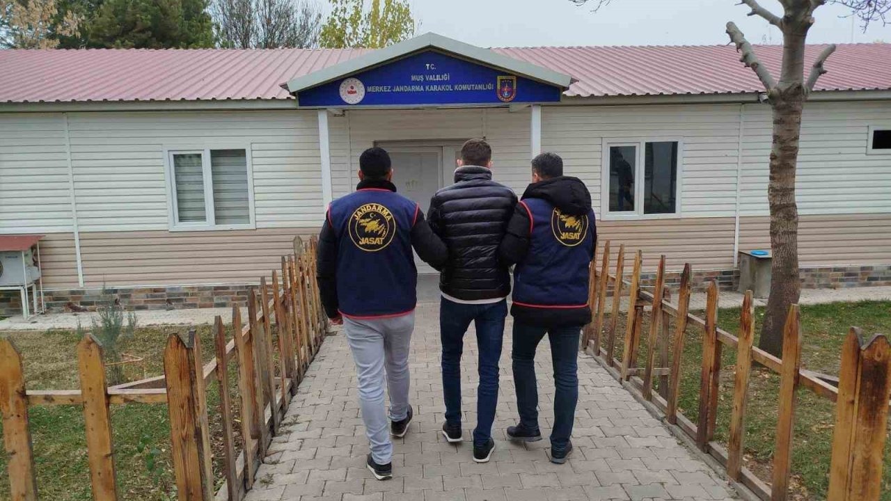 Muş’ta JASAT Operasyonuyla Dolandırıcılık Hükümlüsü Yakalandı