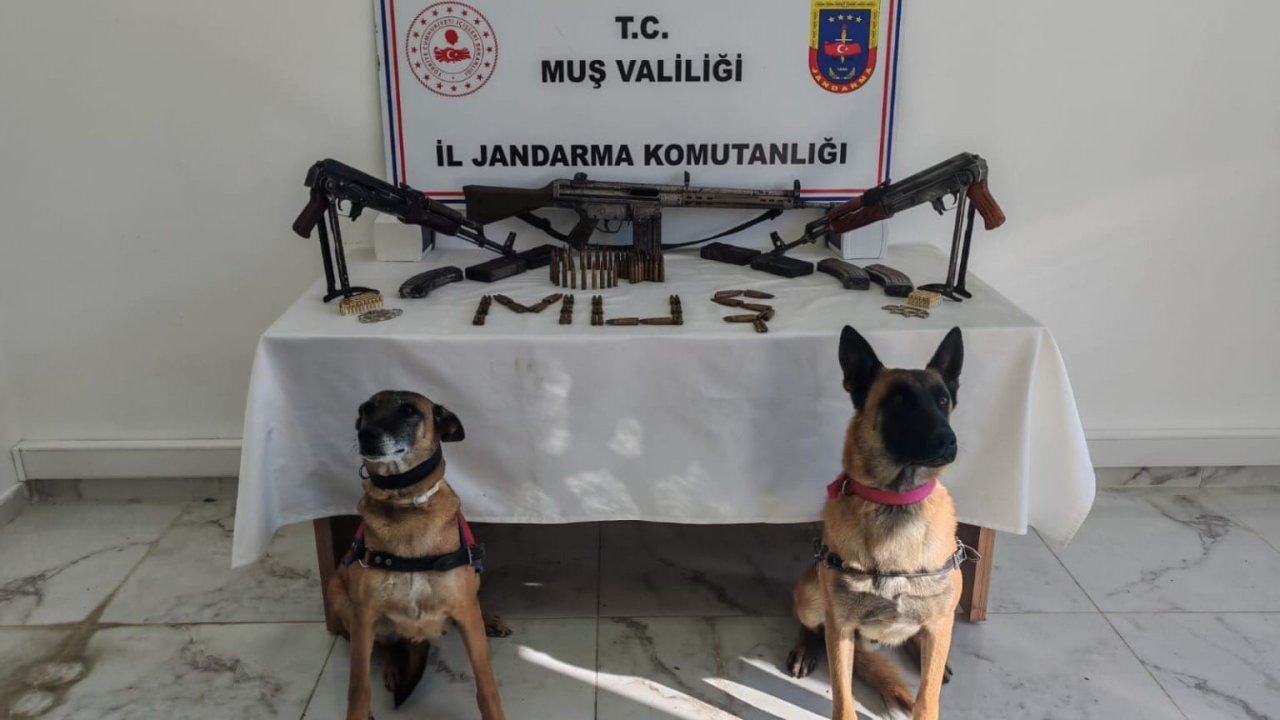 Muş&#039;ta Silah Kaçakçılığı Operasyonu: Evde 3 Uzun Namlulu Silah Ele Geçirildi