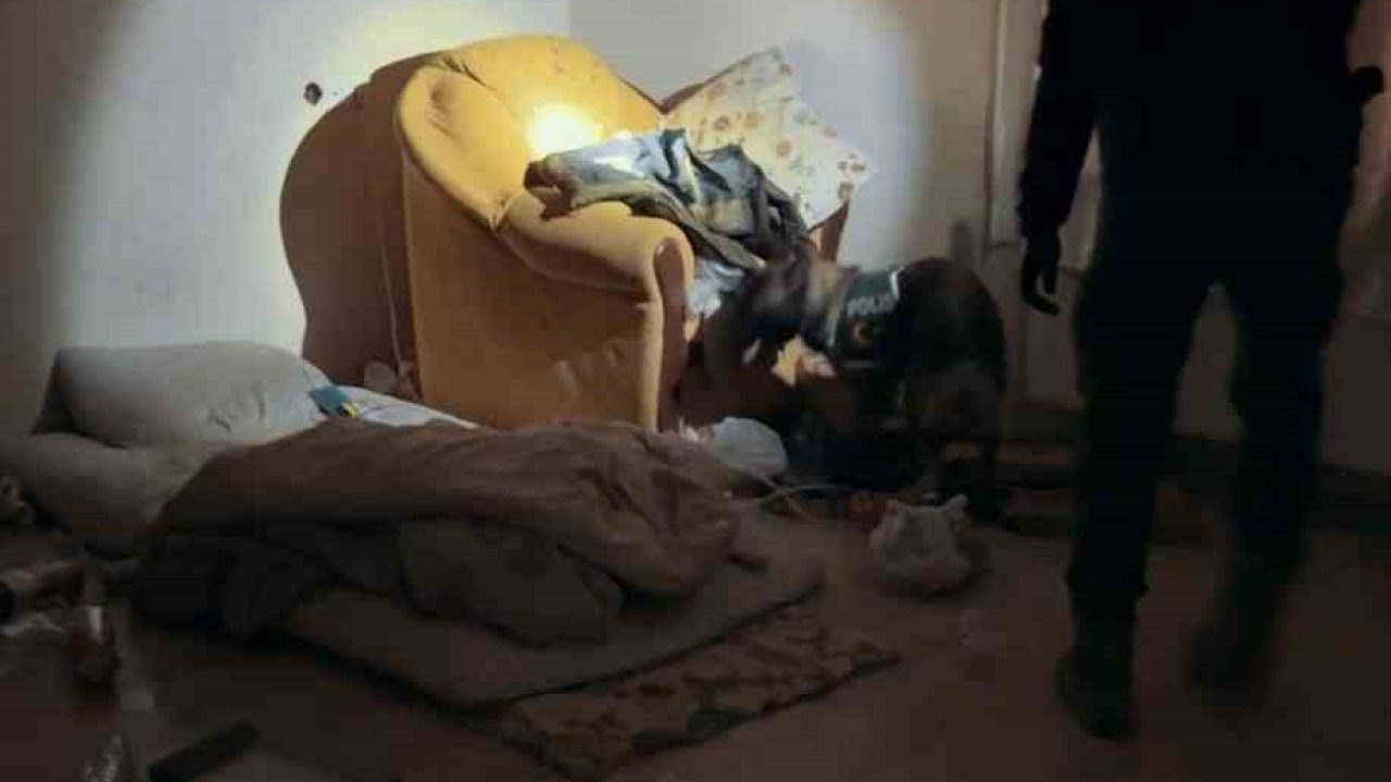 Muş’ta Uyuşturucu Operasyonu: 10 Adrese Eş Zamanlı Baskın, 2 Tutuklama